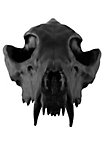 3D-Druck Fuchsschädel zum Selbstbemalen (16 cm)